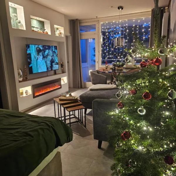 Harz High End Fewo Nicholas 4 Sterne DTV, hotel v destinaci Goslar