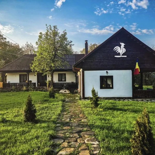 Pensiunea Cocoș, hotel in Spulber