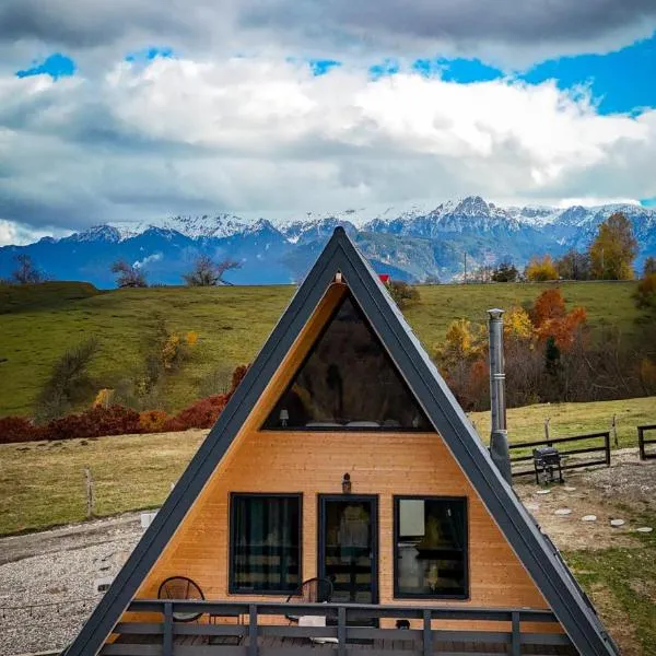 Cabanuta din munti, hotel en Moieciu de Jos