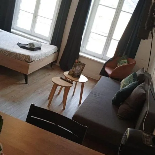 Studio Bourgogne 20, hotell sihtkohas Orléans