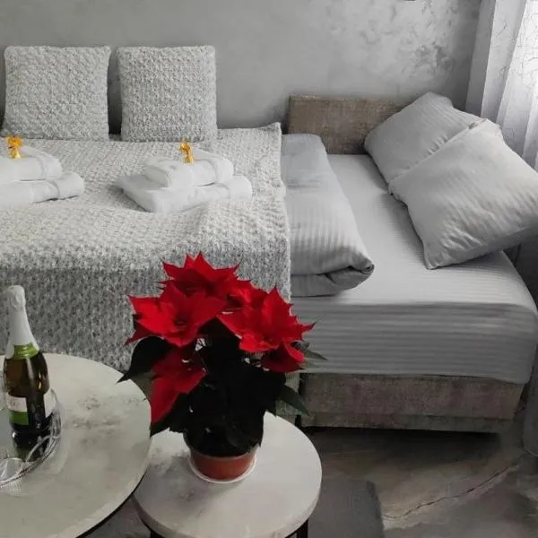 Studio Leszczyńskiego Przemyśl, ξενοδοχείο σε Przemyśl