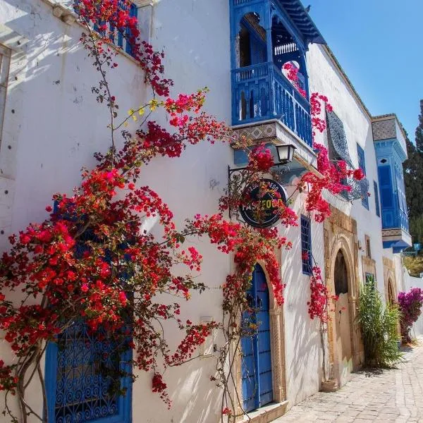 Maison Lella Kmar Sidi Bou said, hotel in Sidi Bou Saïd