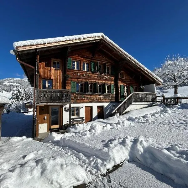 Alpenchalet Haldeli Ferienwohnung, hotel v destinaci Gstaad