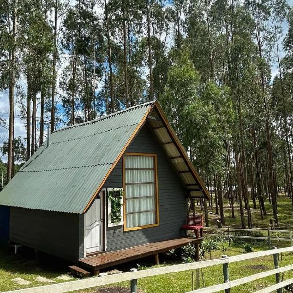 Seu Chalé Serra Catarinense : Wi-Fi e muito espaço