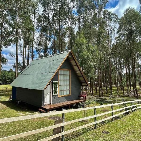 Seu Chalé Serra Catarinense : Wi-Fi e muito espaço - Foto 5