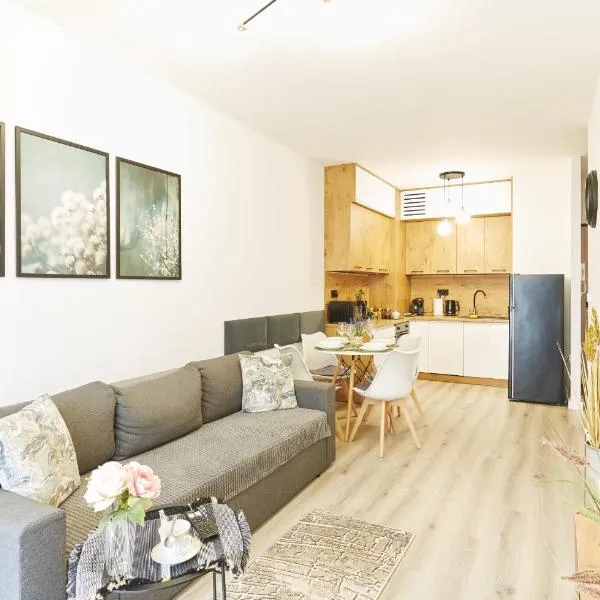 SkyTravel 26 Apartament Pileckiego Nowy Dwór Mazowiecki Airport Modlin 24H，位于马佐夫舍地区新庄园的酒店