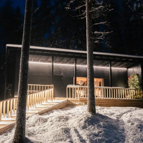 Ternu Forestvilla, hotel v destinaci Rovaniemi