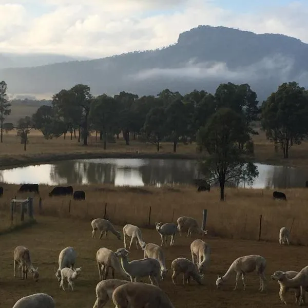 Howes Valley에 위치한 호텔 Starline Alpacas Farmstay Resort