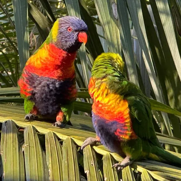 Palm Beach Bed & Breakfast, hotel in Palm Beach