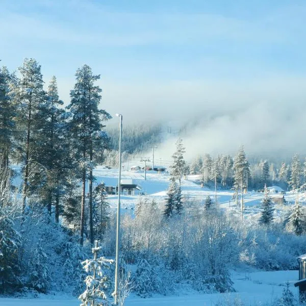 Trysil turistesenter liten leilighet，位于特吕西尔的酒店