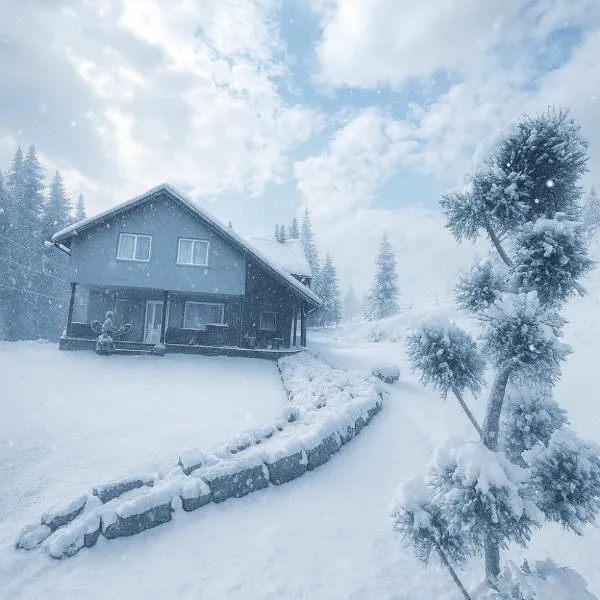Cabana Brazilor, hotel in Vatra Dornei