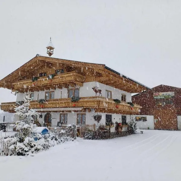 Holiday on an organic farm near ski slopes, hotel i Saalfelden am Steinernen Meer