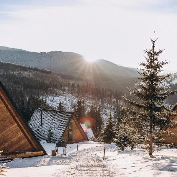 УЛІС Ворохта, hotel in Vorochta
