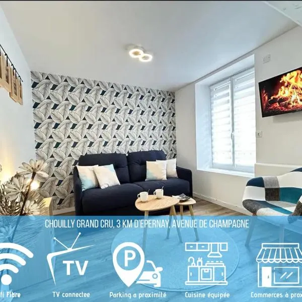 Le Meunier, hotel v destinaci Chouilly