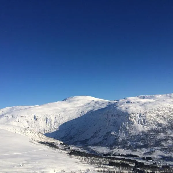 Voss-Oppheim Resort appartment witc acess to swimmingpool, hotel v destinaci Øyjordi
