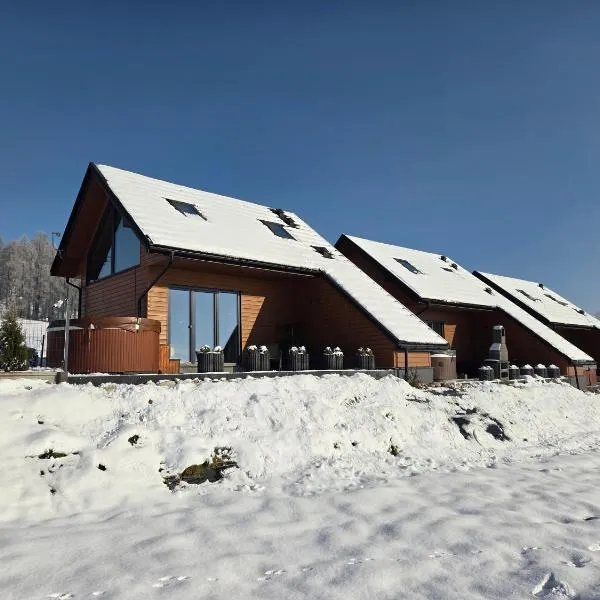 COSY CABINS - las, jezioro, góry,wyciąg Czorsztyn-Ski, prywatna sauna, jacuzzi bez limitu, Hotel in Kluszkowce