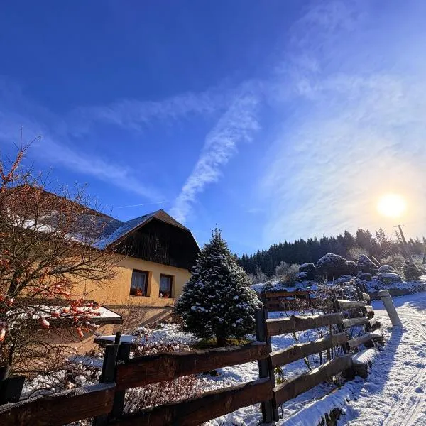 Chalupa za řekou, ξενοδοχείο σε Vacov