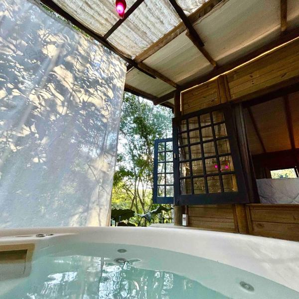 Floresta das Evas - Foto 4