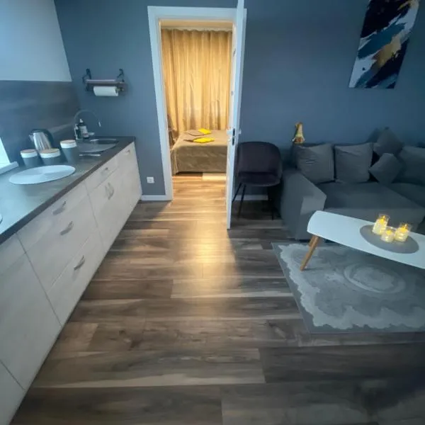 Trumpalaikė Nuoma-Apgyvendinimas, khách sạn ở Rokiškis