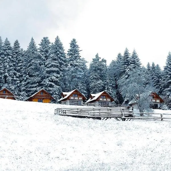 Domki w Kasinie, hotel in Kasina Wielka