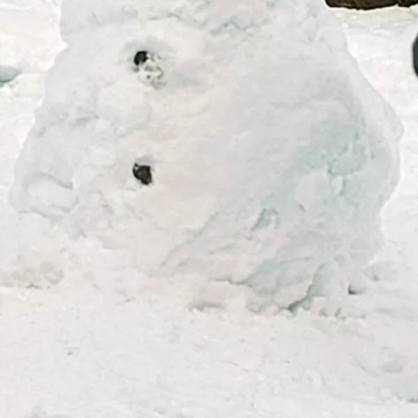 Gazdówka na Mosornym Groniu, hotel in Zawoja