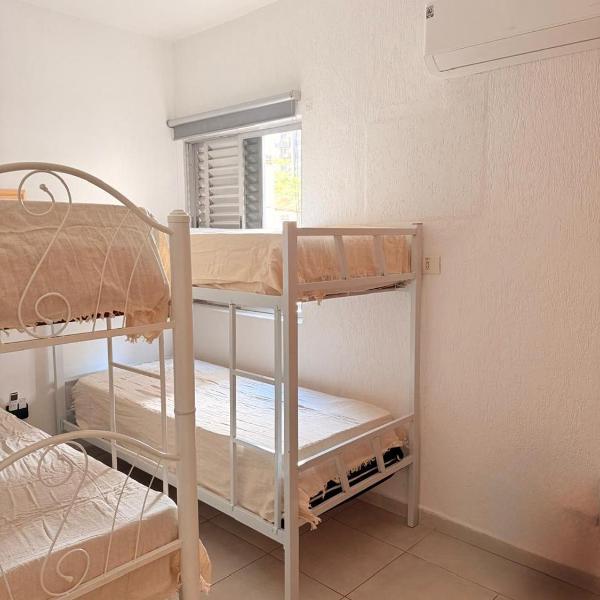 King Midas - Foto 2