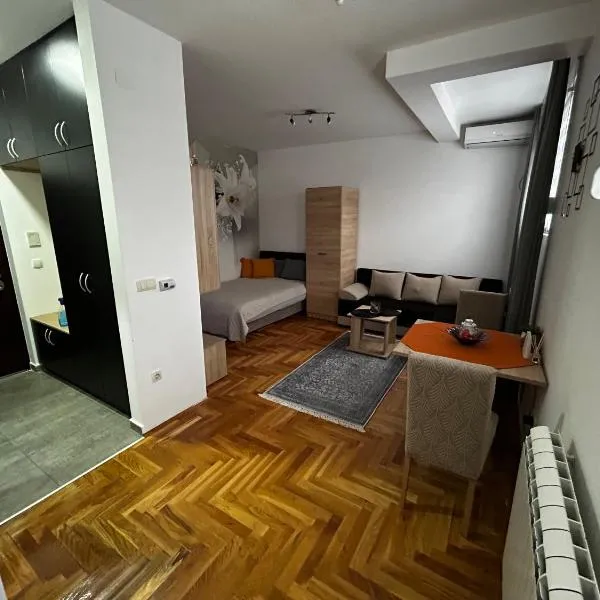 Altina Gottfried Studio，位于Novi Grad的酒店