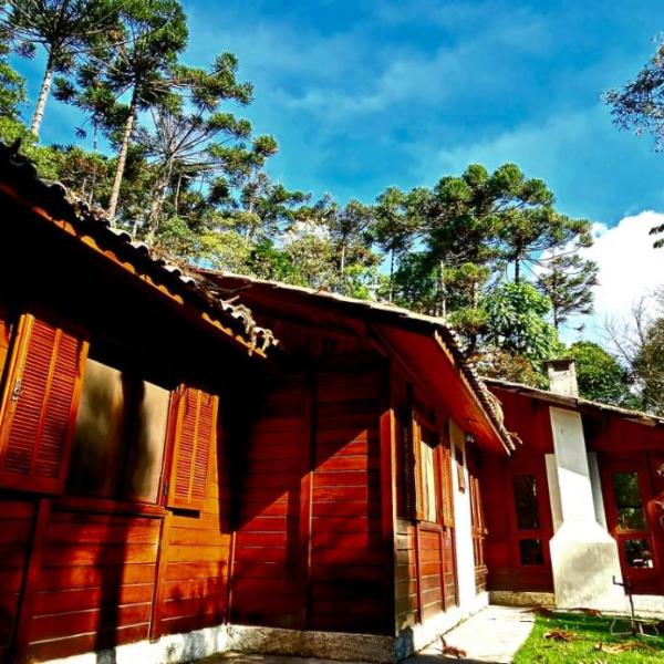 Wooden House
