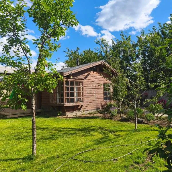 푸콘에 위치한 호텔 Cabaña pasaje las rosas