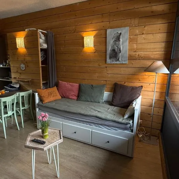 Studio Saint-Lary Soulan village, hotel v destinaci Saint-Lary-Soulan