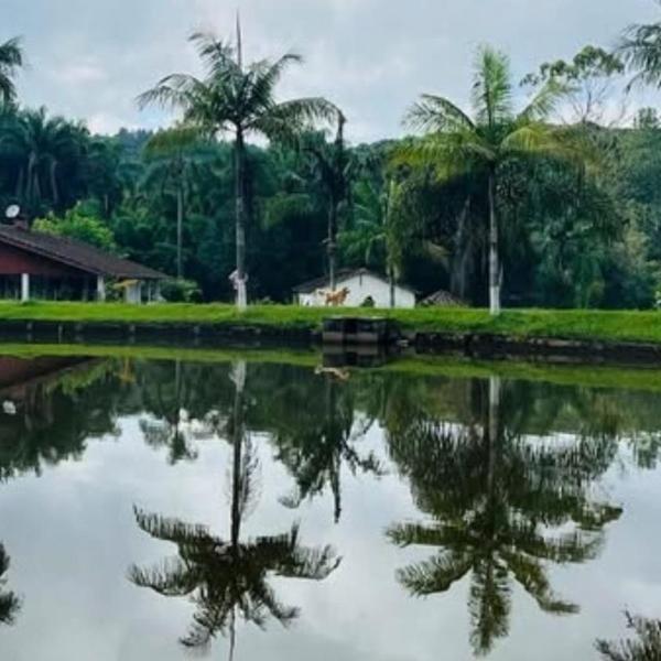 Vila de Casas de Campo Rústica e Aconchegante na Mata Atlântica