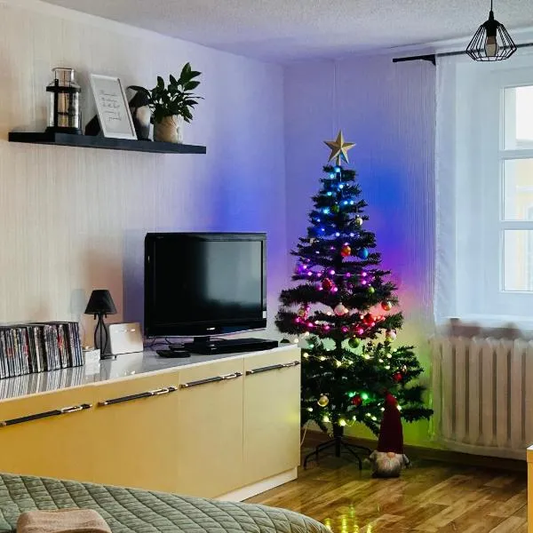 Duży apartament z kuchnią i łazienką w centrum Namysłowa, ξενοδοχείο σε Namysłów