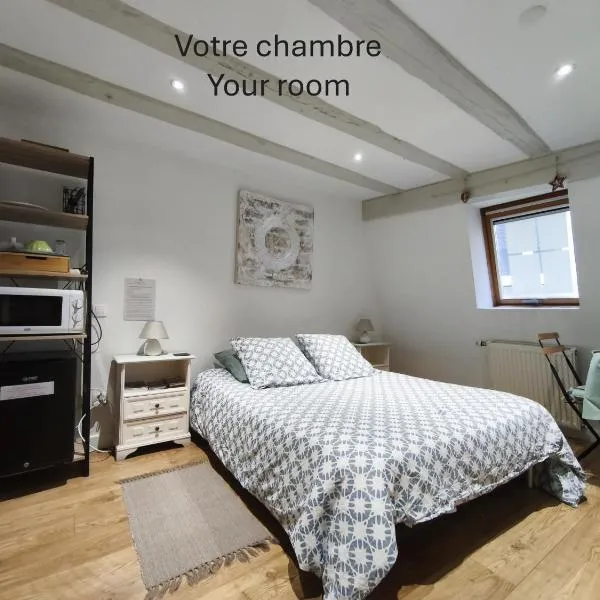 Chambre chez l'habitant - Centre historique - Salle d'eau et WC privés, hotel i Colmar