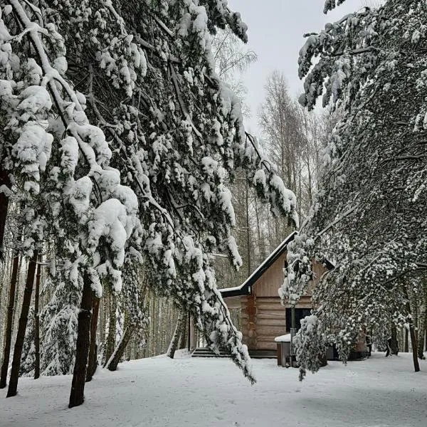 Leśne Klimaty、Smolnikiのホテル