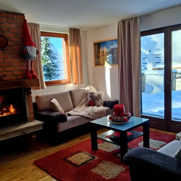 Apartments K.I.D.S.，位于弗拉西克的酒店