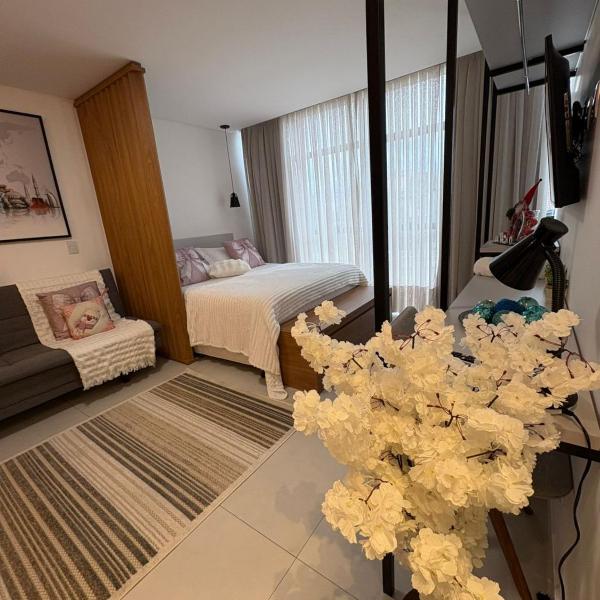Apartamento Milla 1