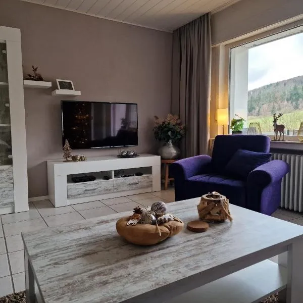 Hirschblick Apartments Willingen, hotel en Brilon