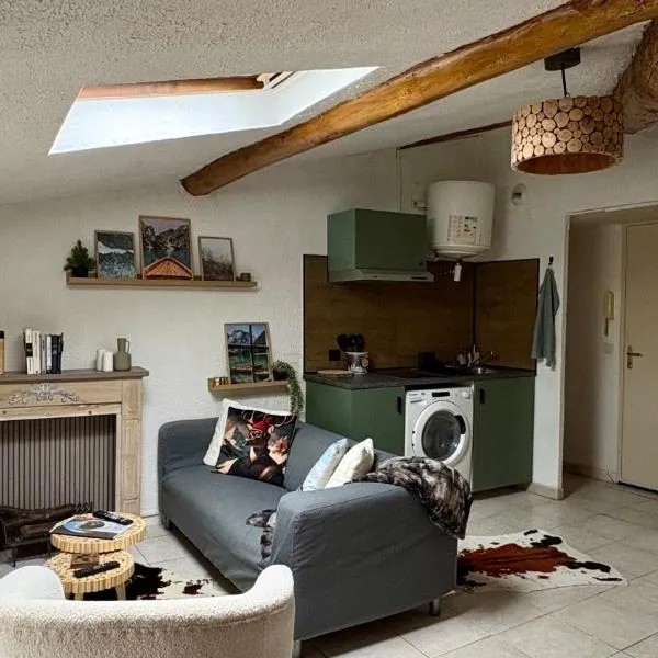 Appartement style chalet proche Cité Carcassonne & lac de la Cavayère, hotel en Trèbes