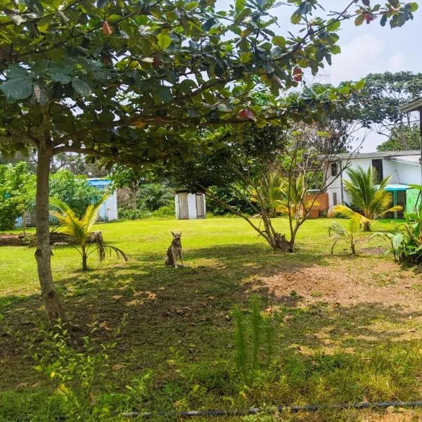 Villa 1200m2 de jardin "100m plage", hotel in Kribi