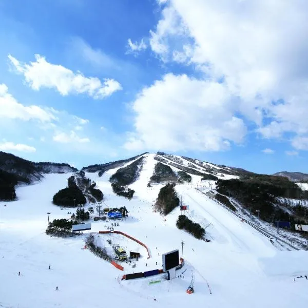 Wellihilli Park Resort, Hotel in Hoengseong