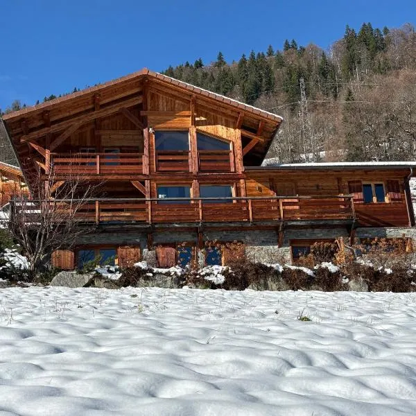Chalet face au Mont Blanc wellnes, hotel Sallanches-ban