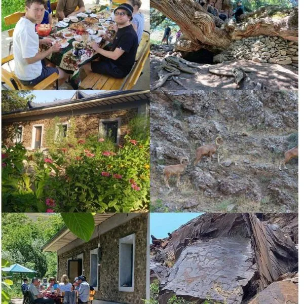 Firdavs guest house, hotel in Yukary-Ukhum