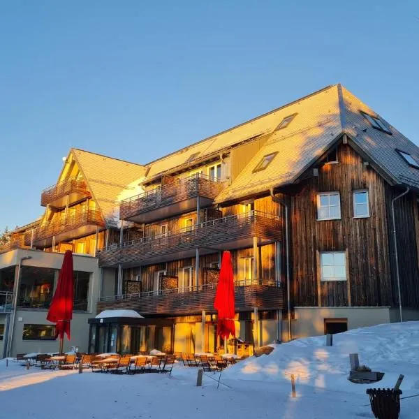 Berghaus Freiburg - Appartement Hotel auf dem Schauinsland, hotel en Oberried