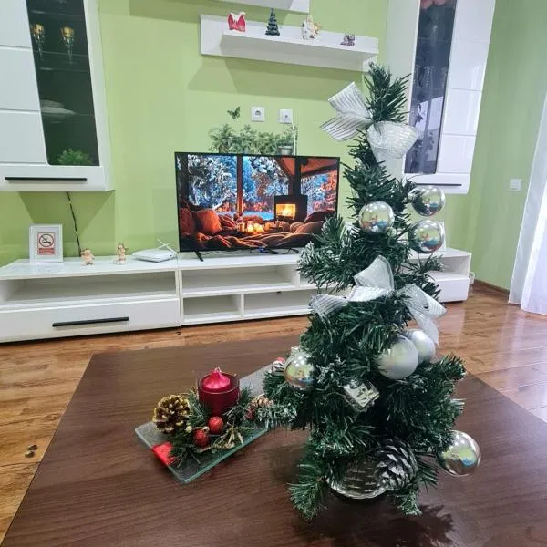 Apartament modern Cristina&Jessica, hotel din Mediaş