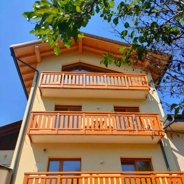 Le Nene - Dolomiti guesthouse, hotel in Pieve di Cadore