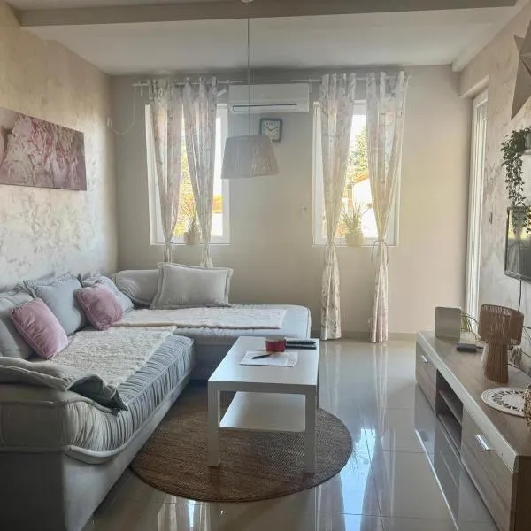 Prenočište Dunav、Novi Banovciのホテル