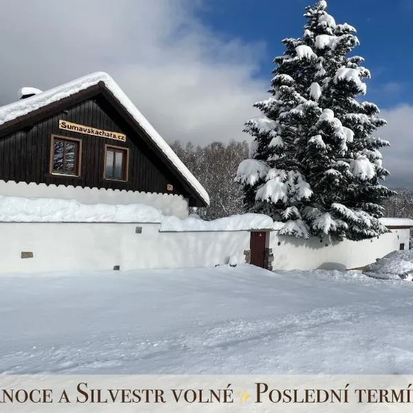 Šumavská Chata - Vánoce a Silvestr volné!, ξενοδοχείο σε Volary