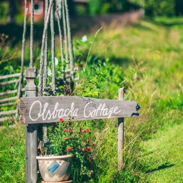 Olsbacka cottage, Hotel in Falun