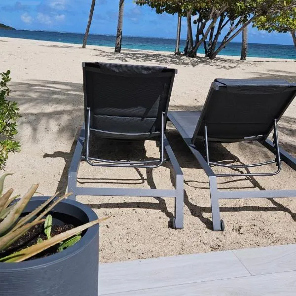 Tekila Beach, appt-condo au bord de mer a Saint-Martin SXM, hotel in Baie Nettle