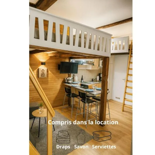 Le Nid Des Marmottes, hyper centre, draps et serviettes fournies, Hotel in Cauterets